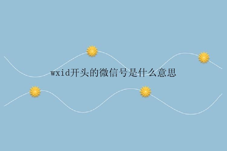 wxid开头的微信号是什么意思