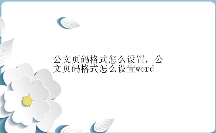 公文页码格式怎么设置，公文页码格式怎么设置word