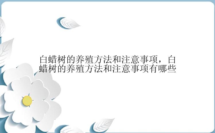 白蜡树的养殖方法和注意事项，白蜡树的养殖方法和注意事项有哪些