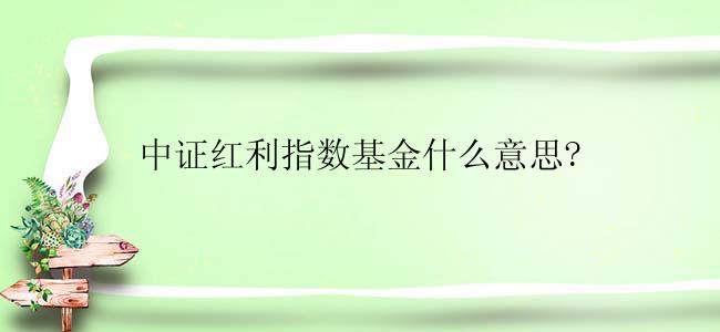 中证红利指数基金什么意思?