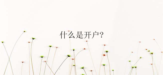 什么是开户?