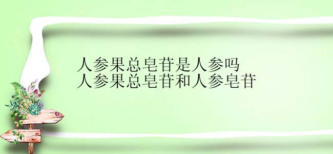 人参果总皂苷是人参吗人参果总皂苷和人参皂苷