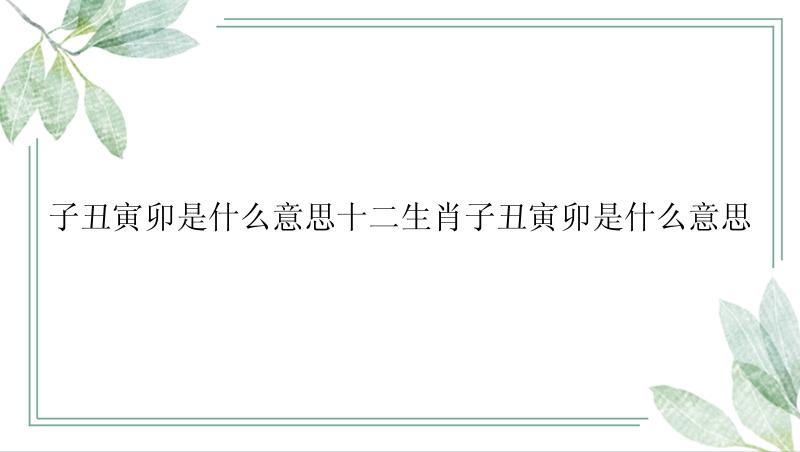 子丑寅卯是什么意思十二生肖子丑寅卯是什么意思