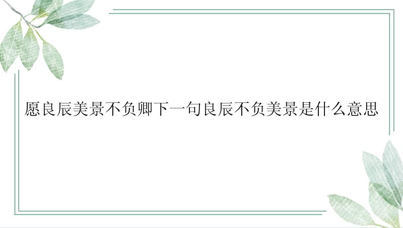 愿良辰美景不负卿下一句良辰不负美景是什么意思