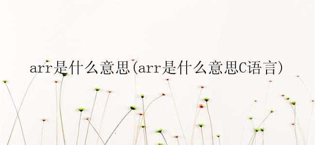 arr是什么意思(arr是什么意思C语言)