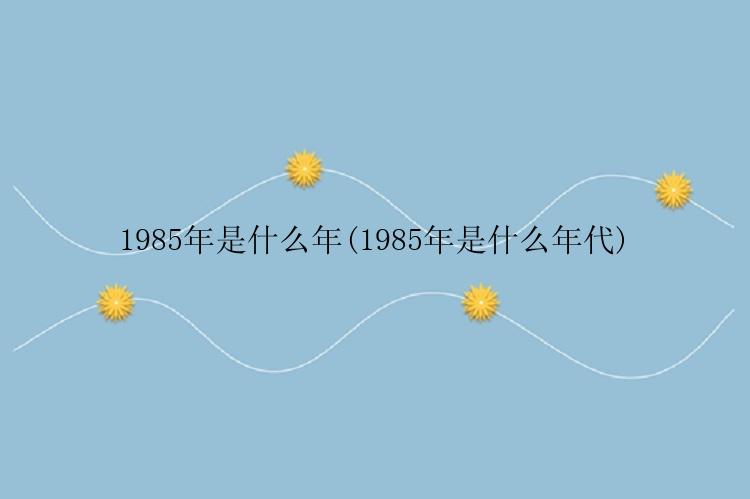 1985年是什么年(1985年是什么年代)