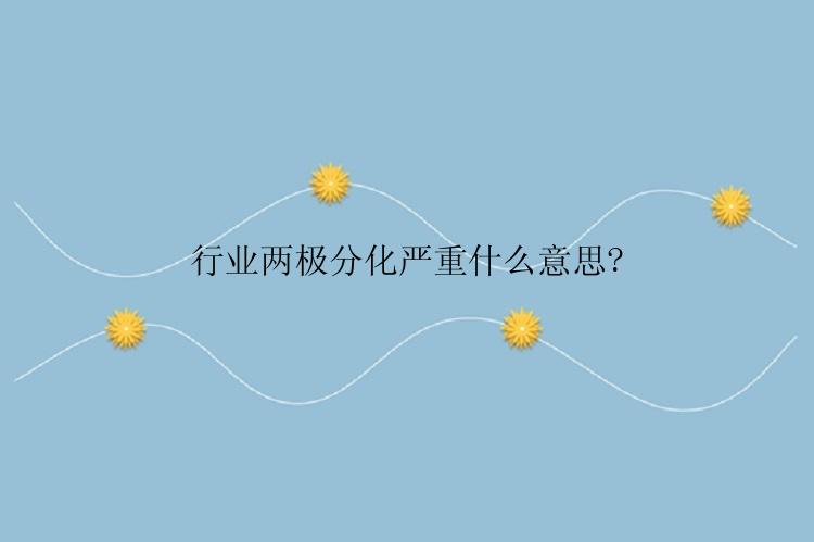 行业两极分化严重什么意思?