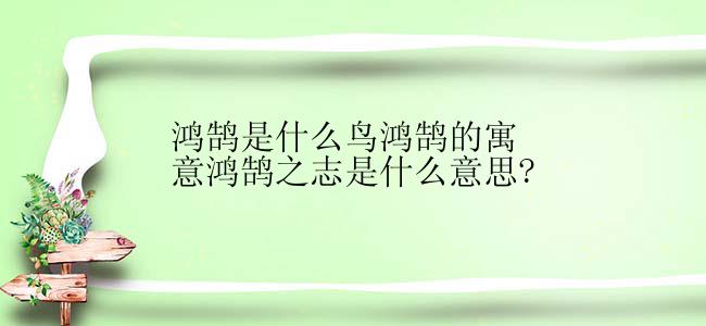 鸿鹄是什么鸟鸿鹄的寓意鸿鹄之志是什么意思?