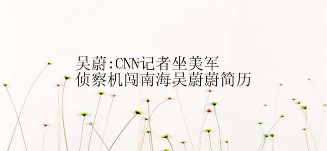 吴蔚:CNN记者坐美军侦察机闯南海吴蔚蔚简历