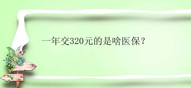 一年交320元的是啥医保？