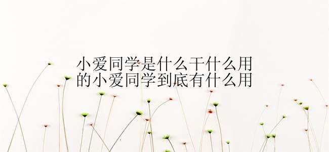 小爱同学是什么干什么用的小爱同学到底有什么用