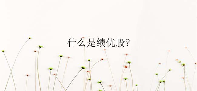 什么是绩优股?