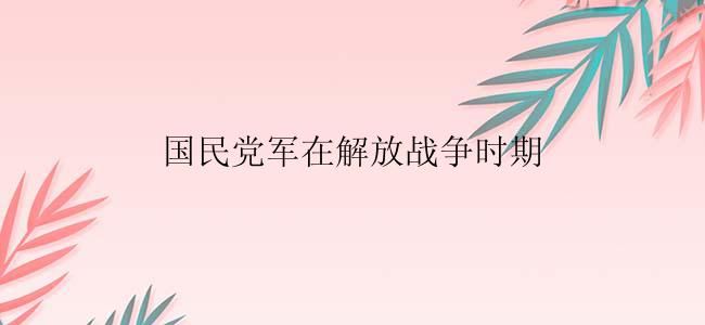 国民党军在解放战争时期