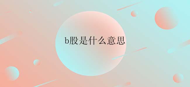 b股是什么意思