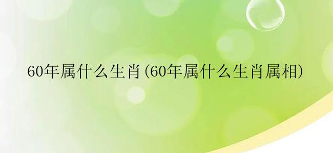 60年属什么生肖(60年属什么生肖属相)