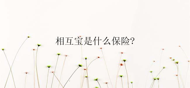 相互宝是什么保险?