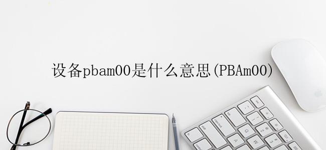 设备pbam00是什么意思(PBAm00)