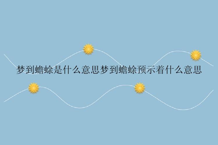 梦到蟾蜍是什么意思梦到蟾蜍预示着什么意思