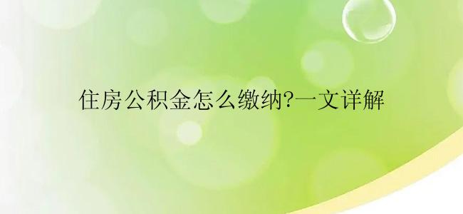 住房公积金怎么缴纳?一文详解