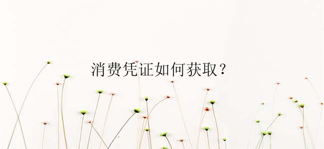 消费凭证如何获取？