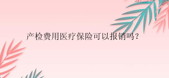 产检费用医疗保险可以报销吗？