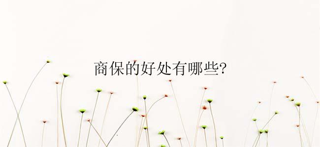 商保的好处有哪些?