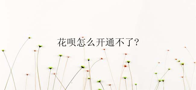 花呗怎么开通不了?