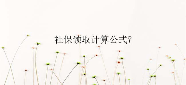 社保领取计算公式?