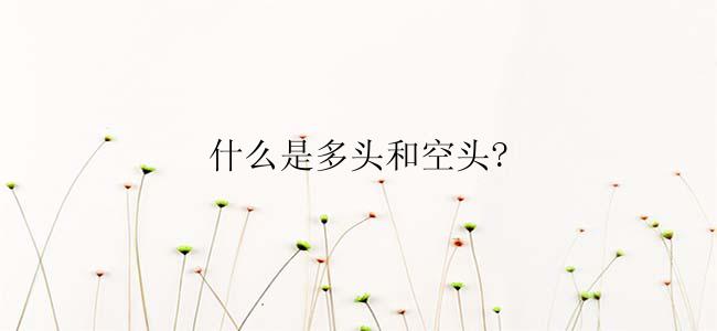 什么是多头和空头?