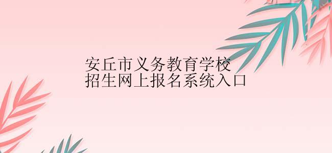 安丘市义务教育学校招生网上报名系统入口