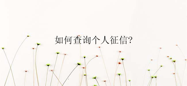 如何查询个人征信?