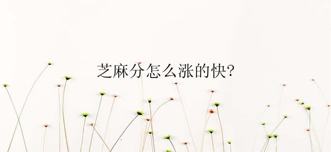 芝麻分怎么涨的快?