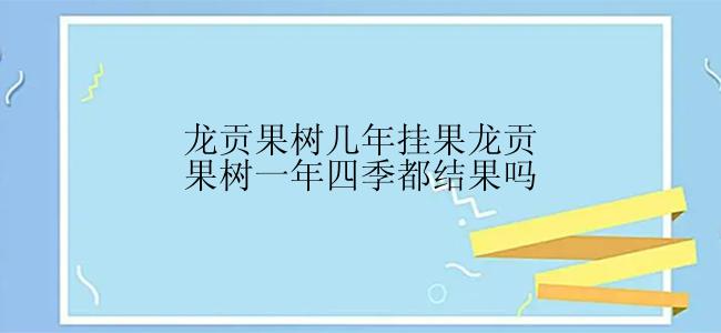 龙贡果树几年挂果龙贡果树一年四季都结果吗