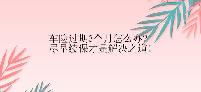 车险过期3个月怎么办?尽早续保才是解决之道!