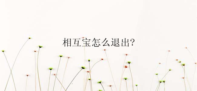 相互宝怎么退出?