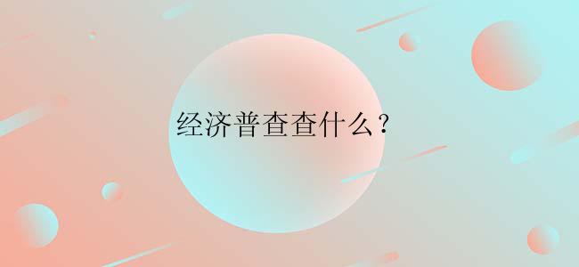 经济普查查什么？