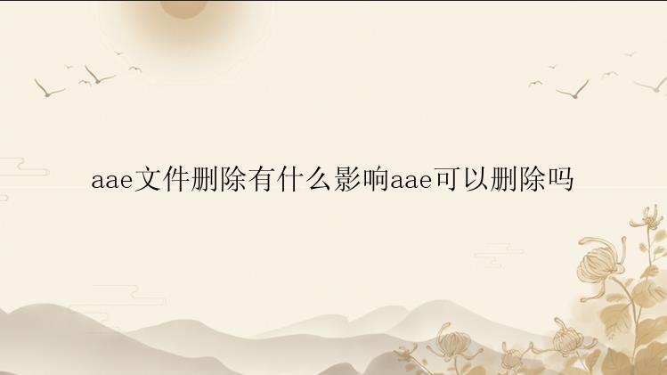 aae文件删除有什么影响aae可以删除吗