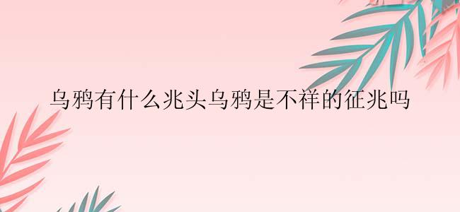 乌鸦有什么兆头乌鸦是不祥的征兆吗