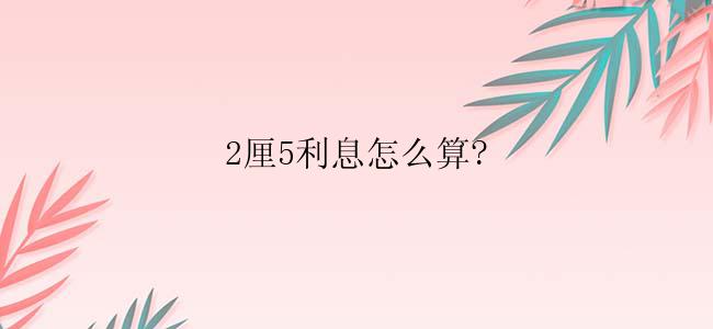 2厘5利息怎么算?