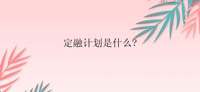 定融计划是什么?