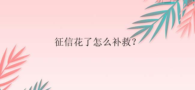 征信花了怎么补救？