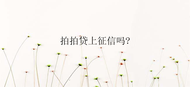 拍拍贷上征信吗?