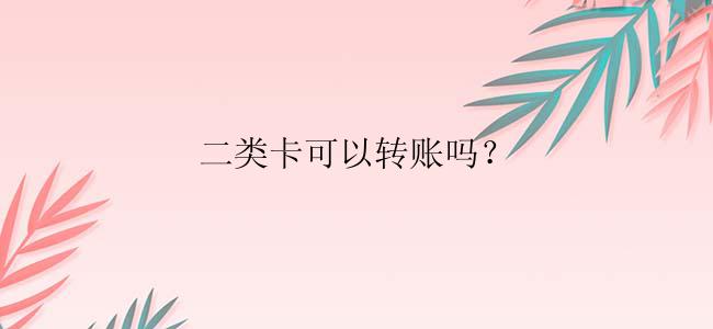 二类卡可以转账吗？