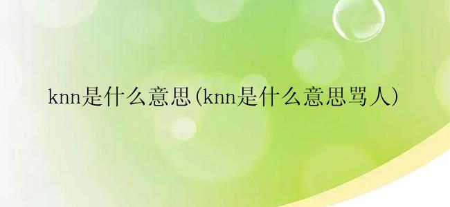 knn是什么意思(knn是什么意思骂人)