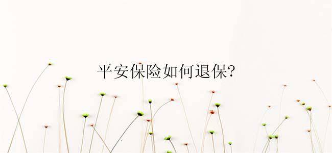 平安保险如何退保?