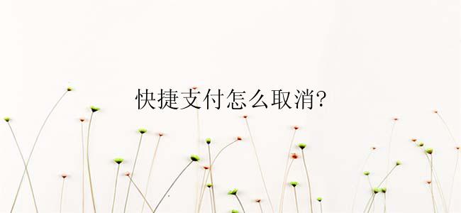 快捷支付怎么取消?