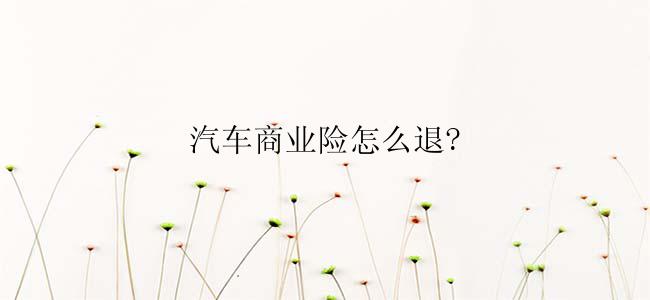 汽车商业险怎么退?