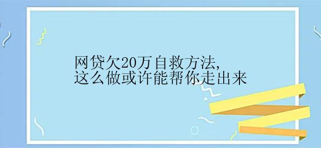 网贷欠20万自救方法,这么做或许能帮你走出来