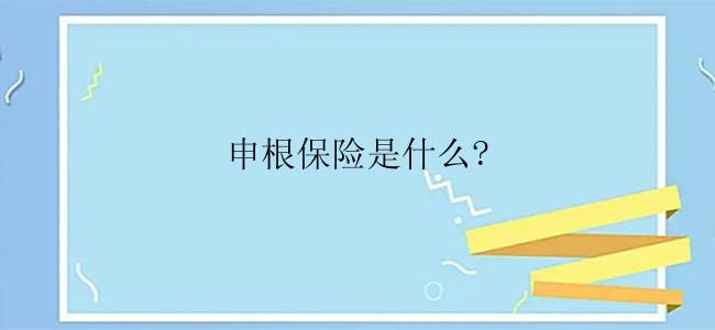 申根保险是什么?