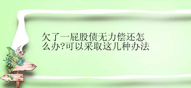 欠了一屁股债无力偿还怎么办?可以采取这几种办法